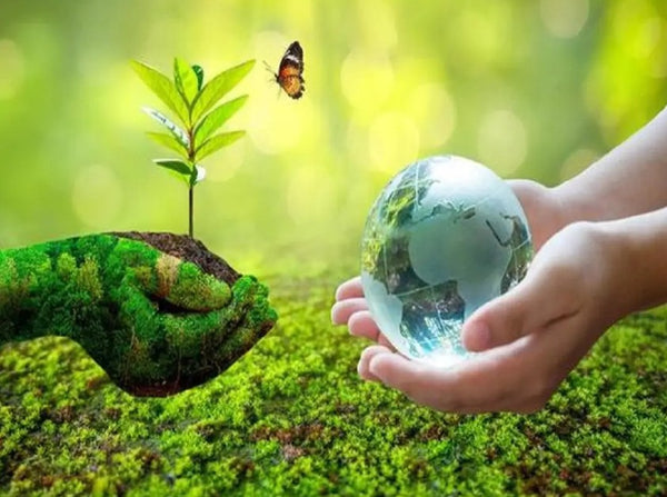 Environmentally Friendly